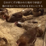 富士山麓放し飼い卵 『福が、きた』業務用たまご10kg ※送料無料