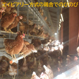 マルフクお試しセット「福が、きた」