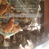 富士山麓放し飼い卵 『福が、きた』業務用たまご10kg ※送料無料