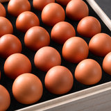 【贈答用ギフト】福が、きた 桐箱 25個入り