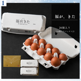 【お歳暮】福が、きたギフト20個入り