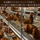 富士山麓放し飼い卵 『福が、きた』業務用たまご10kg ※送料無料