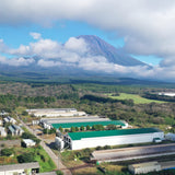 マルフクお試しセット「福が、きた」