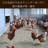 富士山麓放し飼い卵 『福が、きた』業務用たまご10kg ※送料無料