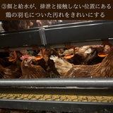 富士山麓放し飼い卵 『福が、きた』業務用たまご10kg ※送料無料