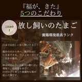 【おすすめ】食べ比べセット~『福が、きた』と『富士の名月』10個ずつ入り~