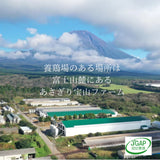 手造りプリン~あさぎり高原産の新鮮なたまご使用~ (1個)