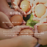 【おすすめ】食べ比べセット~『福が、きた』と『富士の名月』10個ずつ入り~