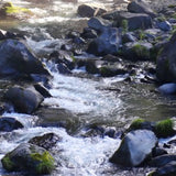 マルフクお試しセット「福が、きた」