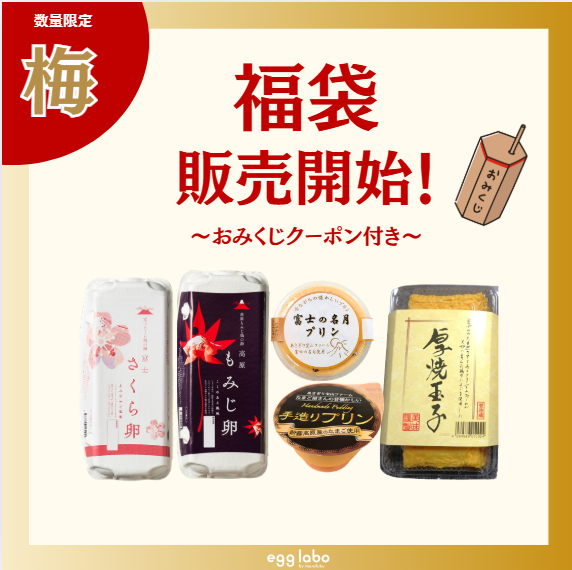 福袋2026　【梅】