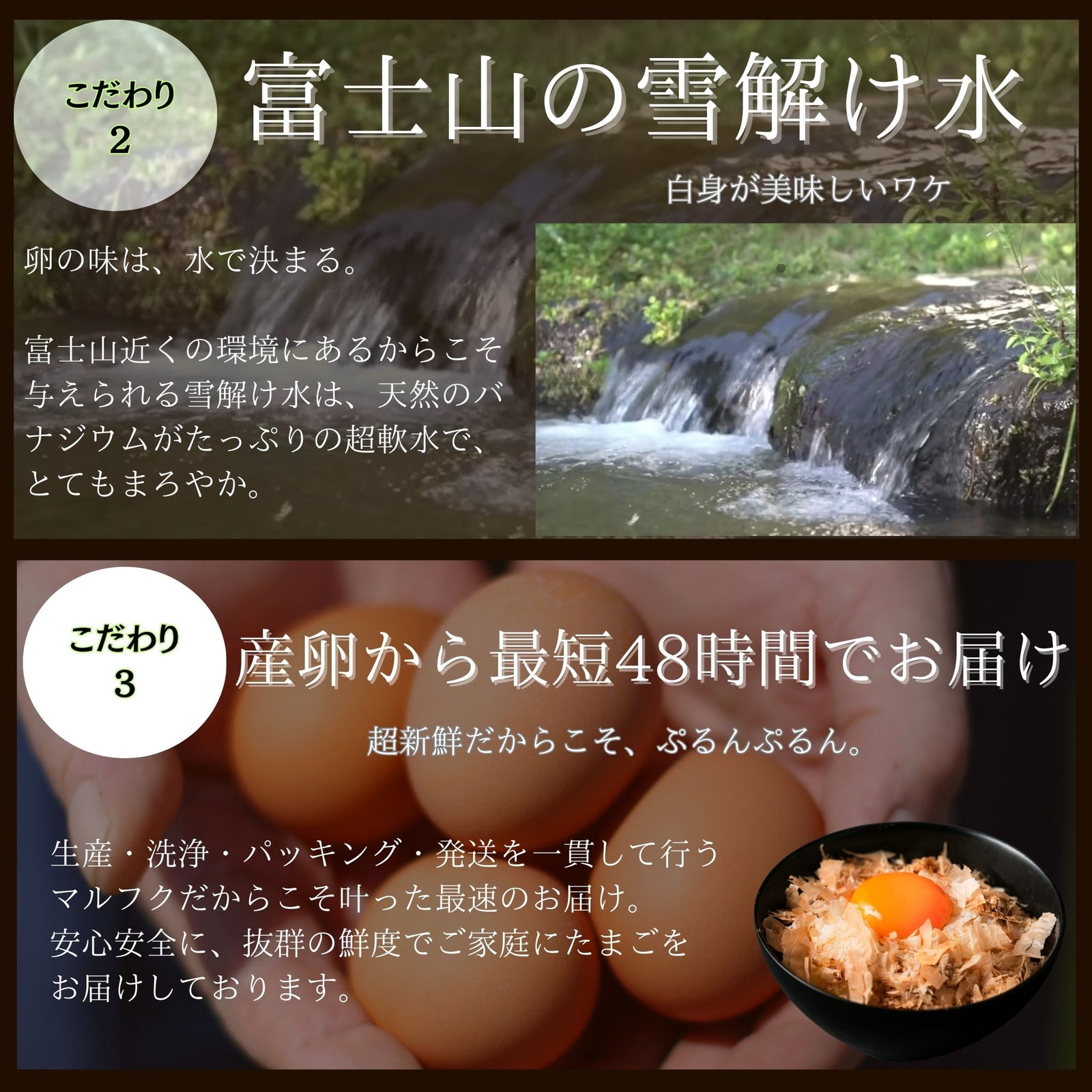 富士の名月」1パック(10個入) – マルフク オンラインストア