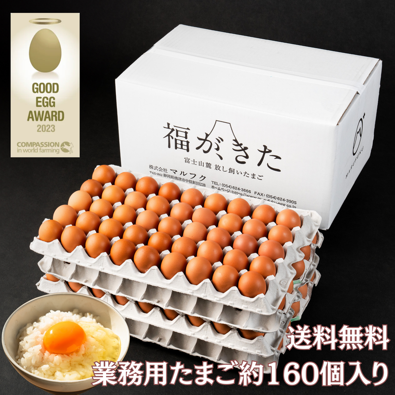 富士山麓放し飼い卵　『福が、きた』業務用たまご10kg　※送料無料
